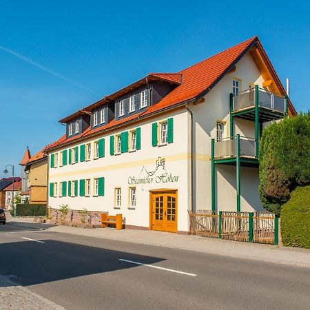 Staimicher Hoehen - Premium Appartements Kurort Steinbach-Hallenberg Eksteriør bilde